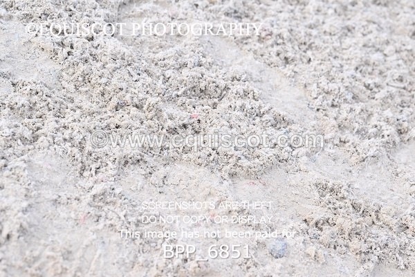 BPP_6851 - RING 1  (RIDDEN HORSES / IN HAND / VETERAN ETC)