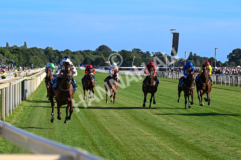 240726-Race 3-Coral Cove-5221 - Race 3 18.40pm Ire-Incentive, It Pays To Buy Irish EBF Restricted Novice