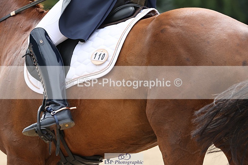 240810-135948-03416 - 110-Helen.Kitto-Da.Vinci.IV