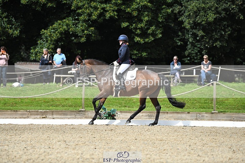 230812-110817-03545 - Cls 6 Novice Silver 10.30 to 11.55 break