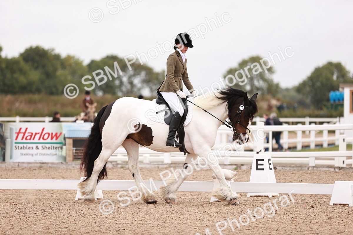 SBM_01713 - Class 34 - Prelim 3