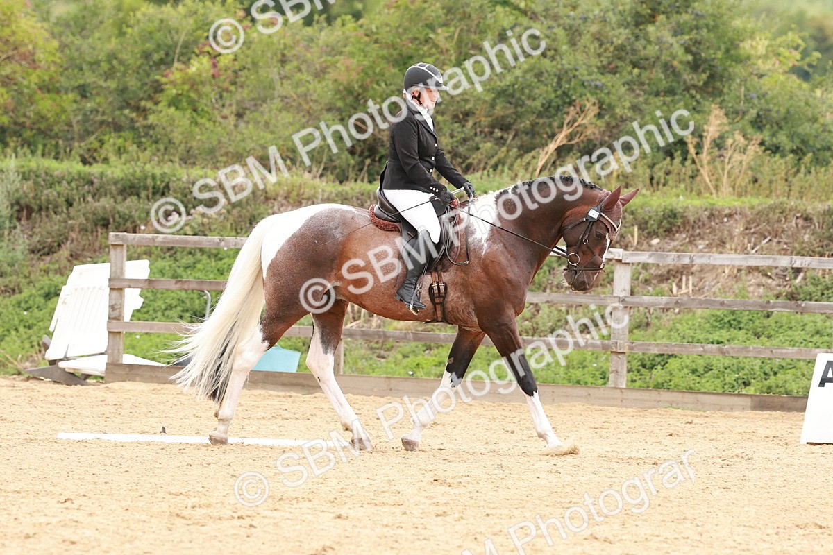 SBM_002746 - Novice 2