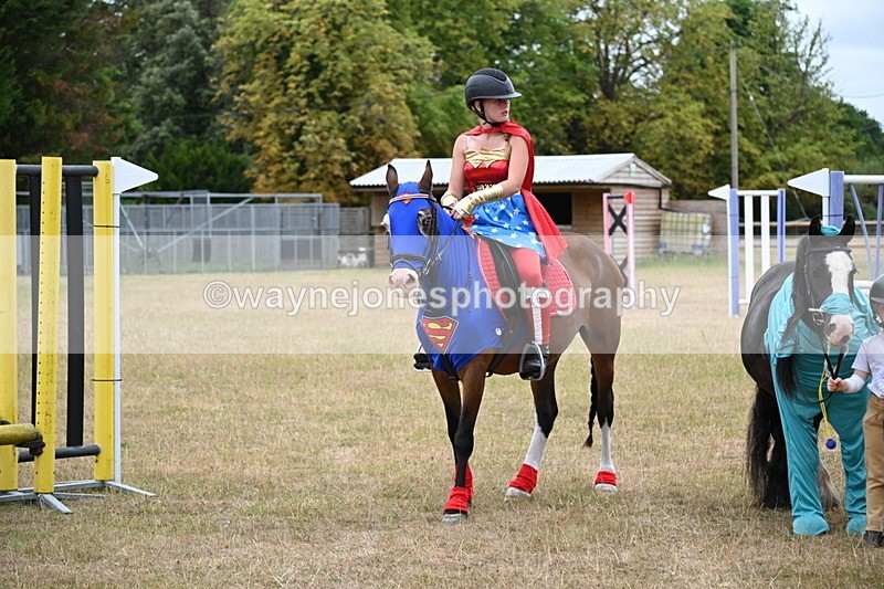 WJ6_9105 - Class 11 Fancy Dress