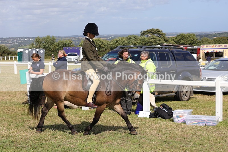 1X9A5572 - Class 39: NPS Dartmoor, Exmoor, Shetland