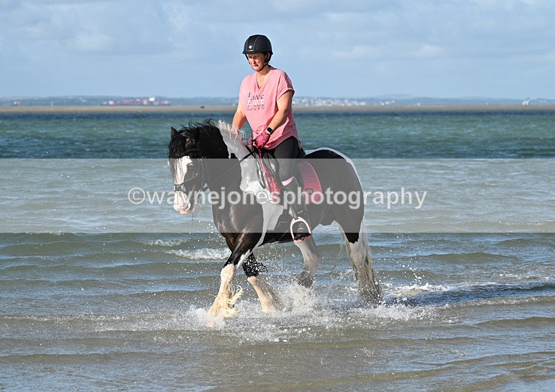 WJ7_3703 - Kellie & Churchill ... do Hayling Island 25-08-24