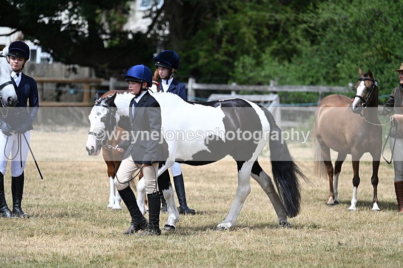 WJ7_1653 - Class 4 Prettiest Mare up to 14.2hh in hand