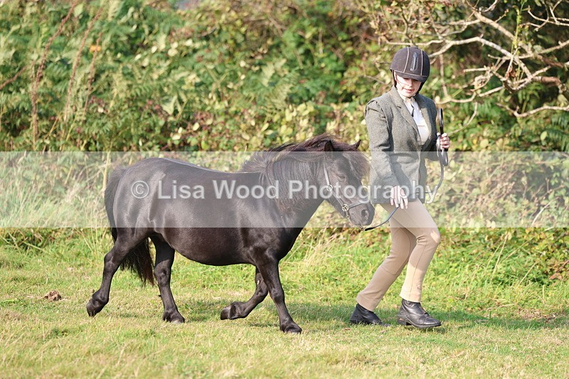 3E7A3185 - Class 12: M & M Small Breeds