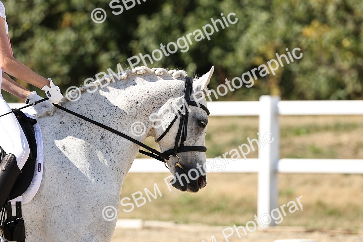 SBM_003919 - Prelim 4 - 16.21-17.31