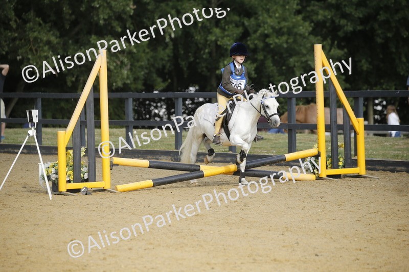 20250622-1210 - 40cm