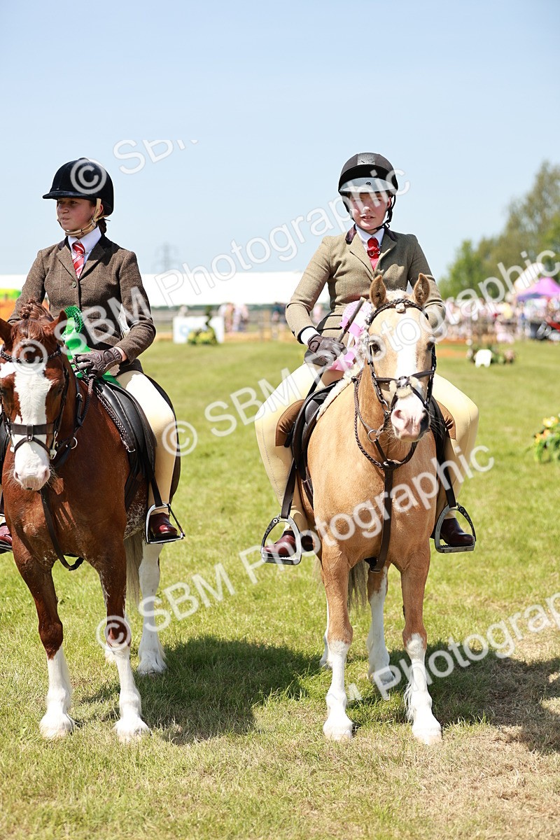 SBM_15726 - Class 108-109 - BSPS LIHS Open Gradle & Nursery Stakes
