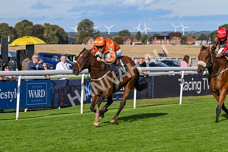 170925-Race 6-Elegant Erin-5799 - Race 6