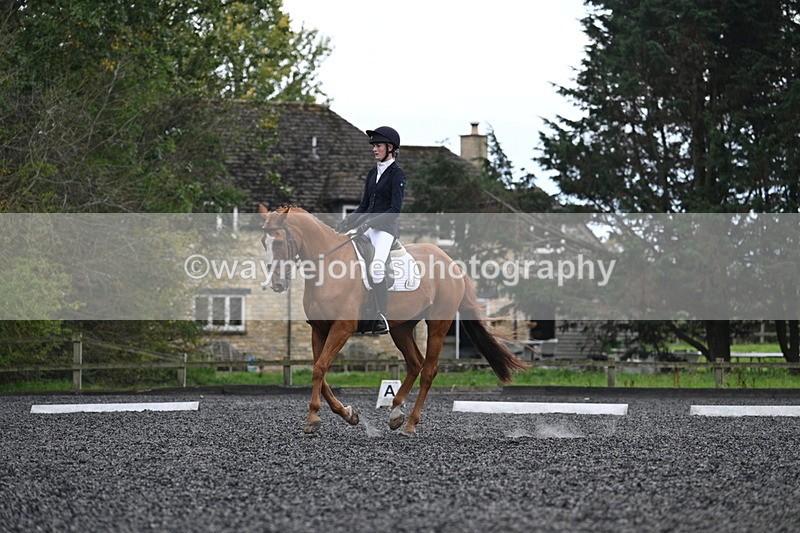 WJ7_6711 - Time 14:49 to 15:14