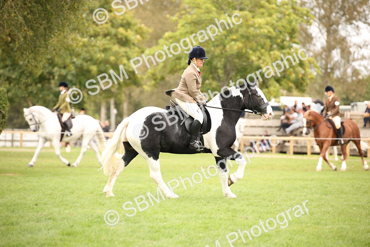 SBM_72390 - S67 - Show Cob Ridden