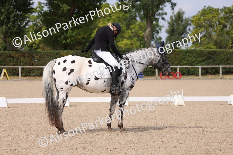 20250819-1604 - Class 5 - Novice 3