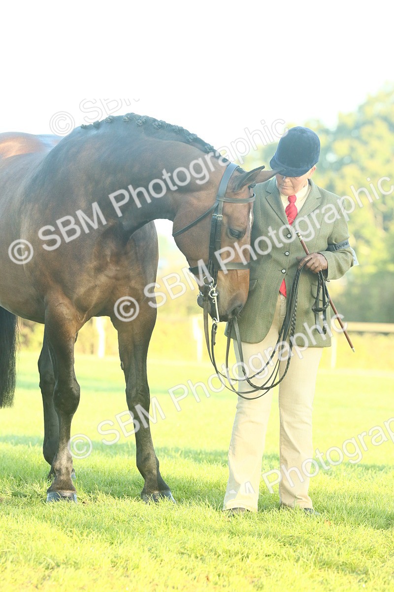 SBM_56666 - S36 - Starters Best Turnout