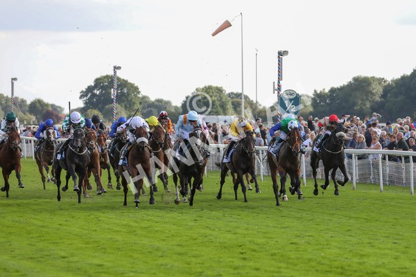 240823-Race 6-Gushing Gold-5468 - Race 6 4.45pm Or8Wellness EBF Stallions Nursery Handicap