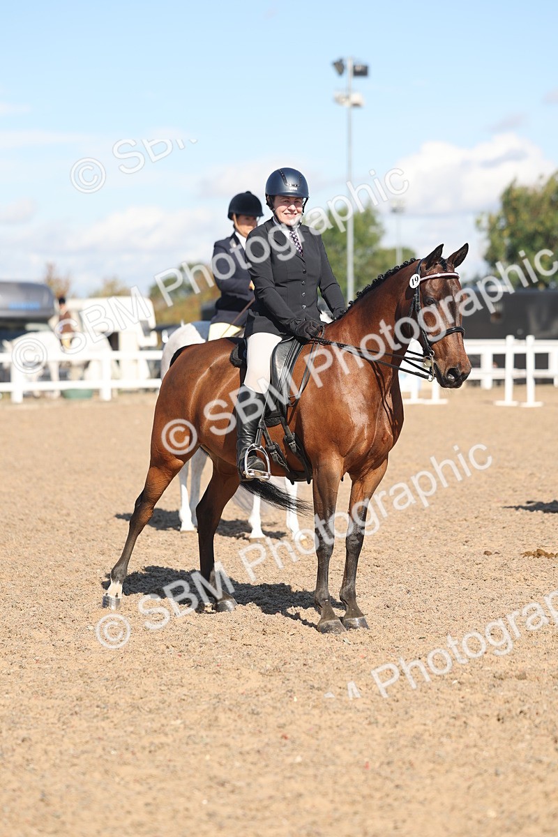 SBM_13099 - Class 305 - Ridden Foreign Breed Pure Bred