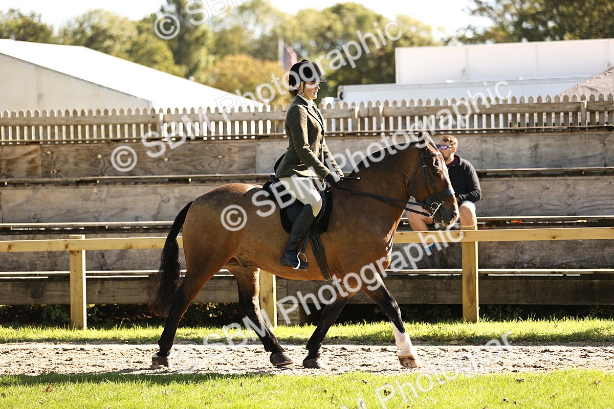 SBM_19073 - S3 - TSR Ridden Pony Showing