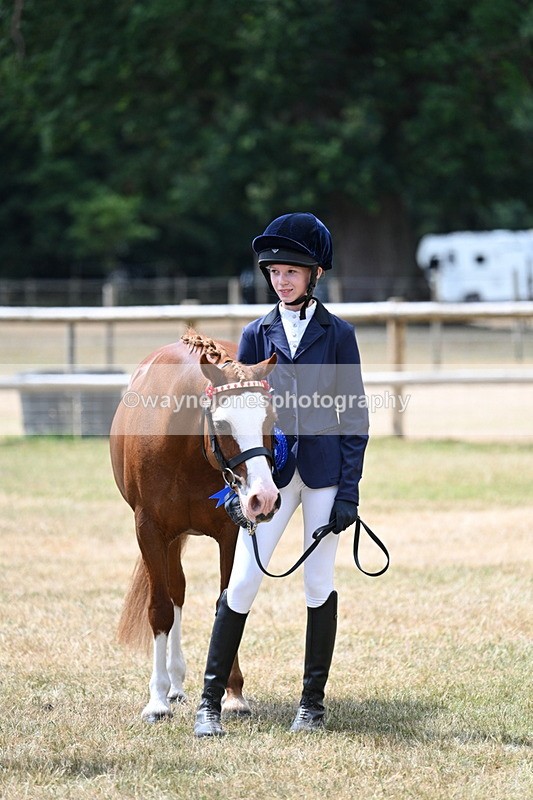 WJ7_2113 - Prettiest Mare Champs