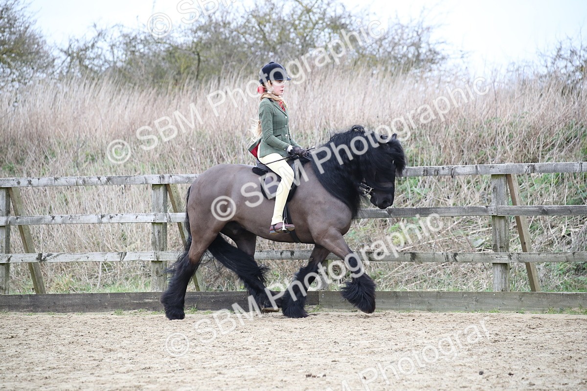 SBM_006310 - Class 10-13 - RIHS Small Large Breeds
