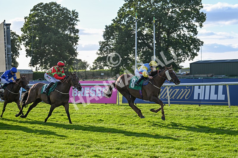 160824-Race 4-Jamih-9344 - Race 4