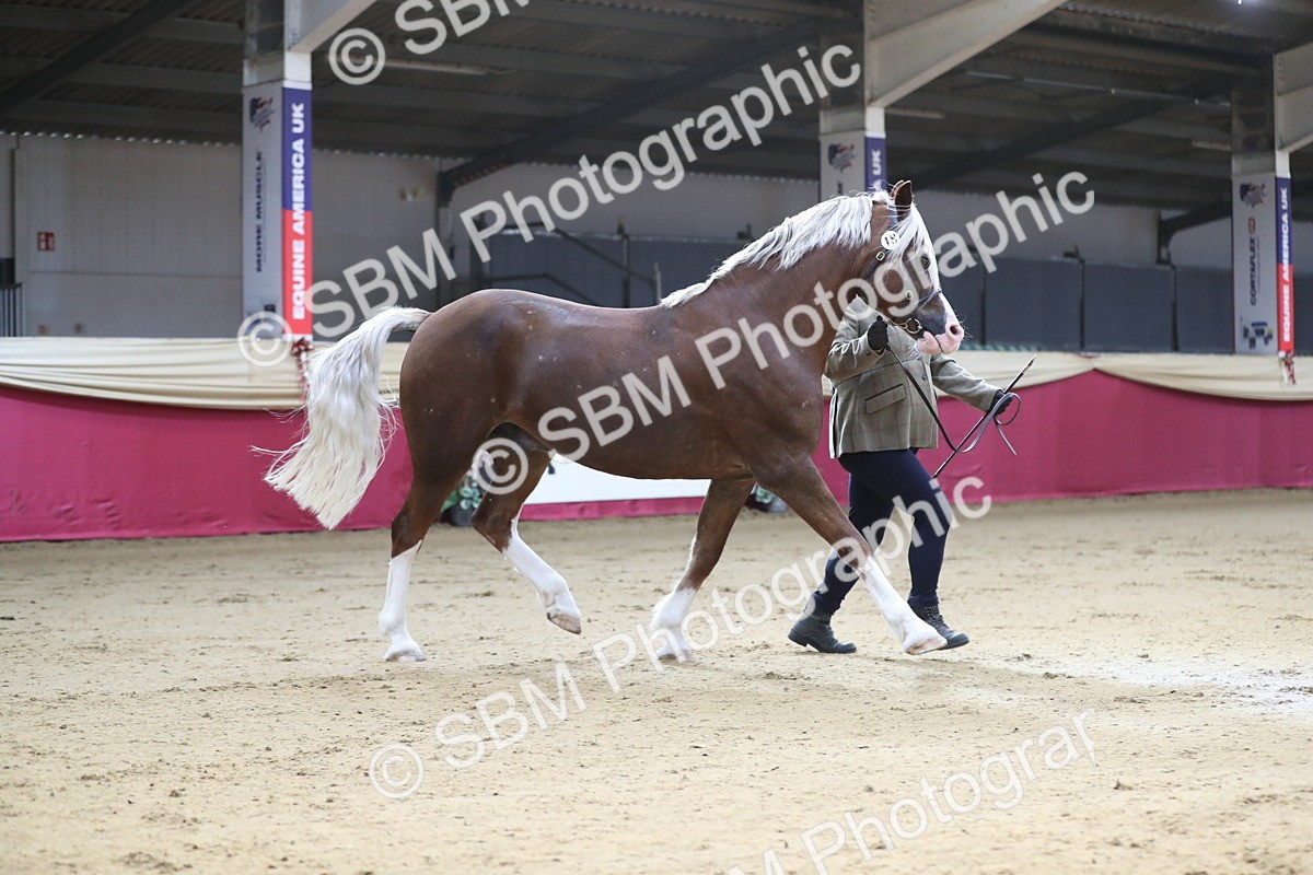 SBM_01314 - Class 3a Area IH Pre Vet