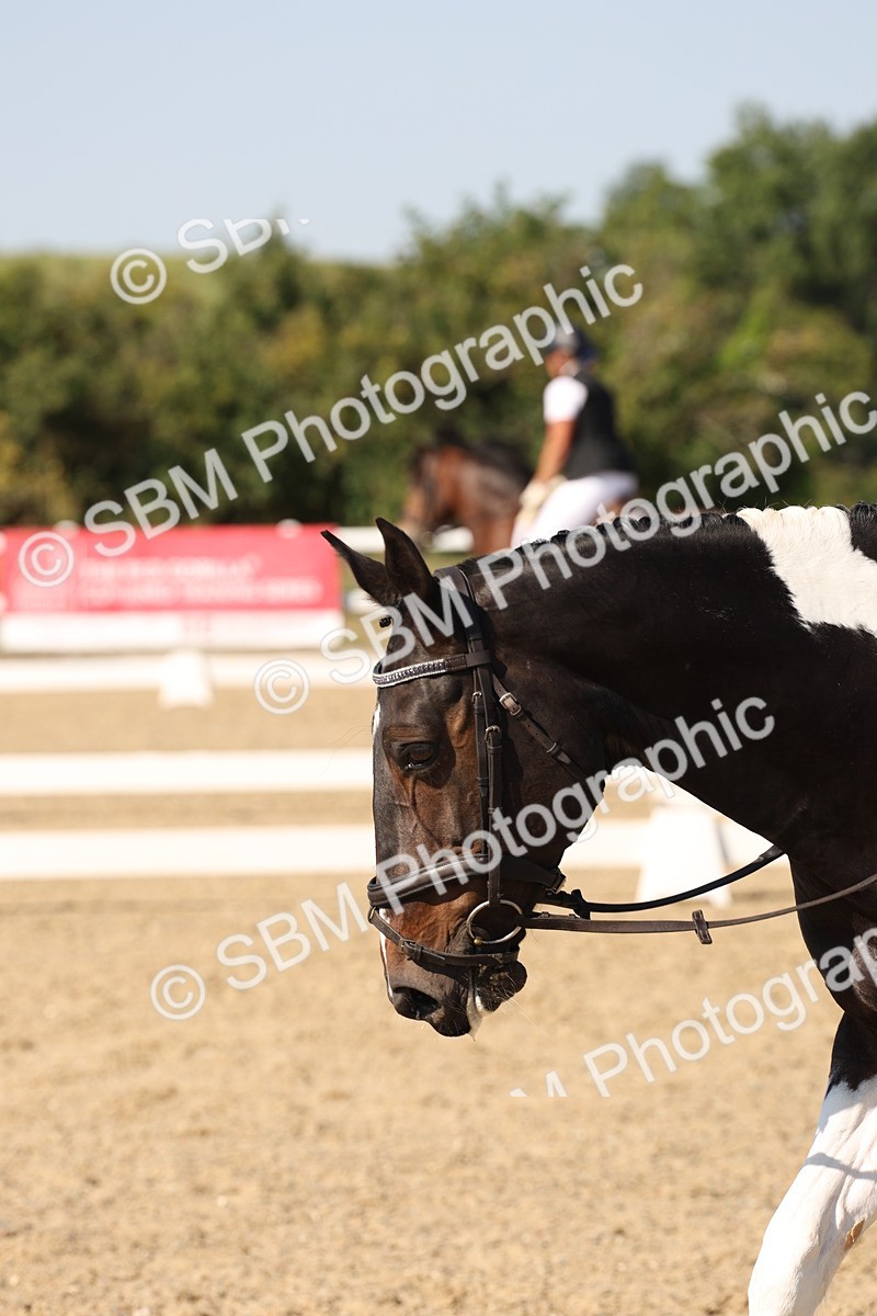 SBM_006512 - Prelim 4 - 15.56-17.51