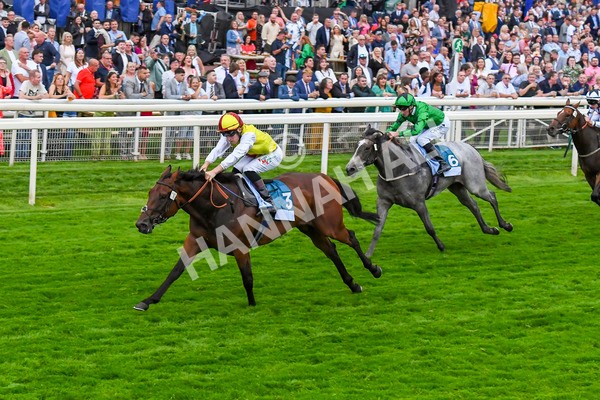 280723-Race 7-Knebworth-0794 - Race 7 8.20pm Sky Bet Go-Racing-In-Yorkshire Summer Festival Handicap