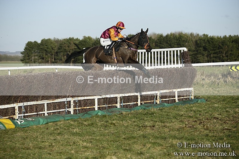 PtP 070118 -470 - Larkhill Racing Club Point to Point Larkhill 07/01/2018