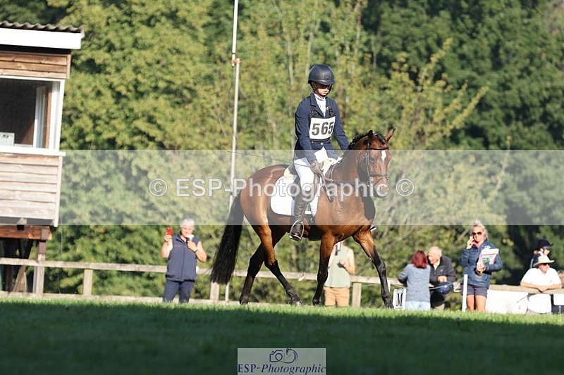 250823A-085935-25815 - Arena D