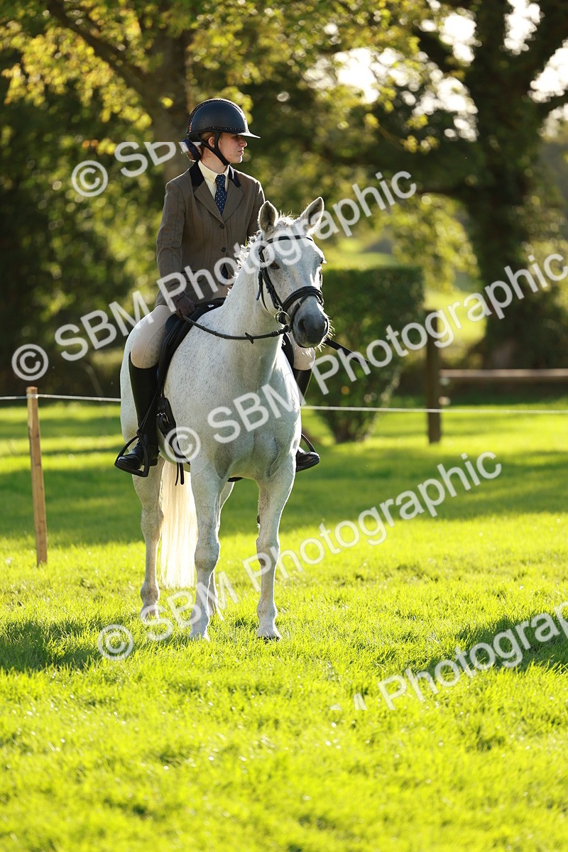 SBM_28714 - S7 - Novice & Newcomer Ridden Pony