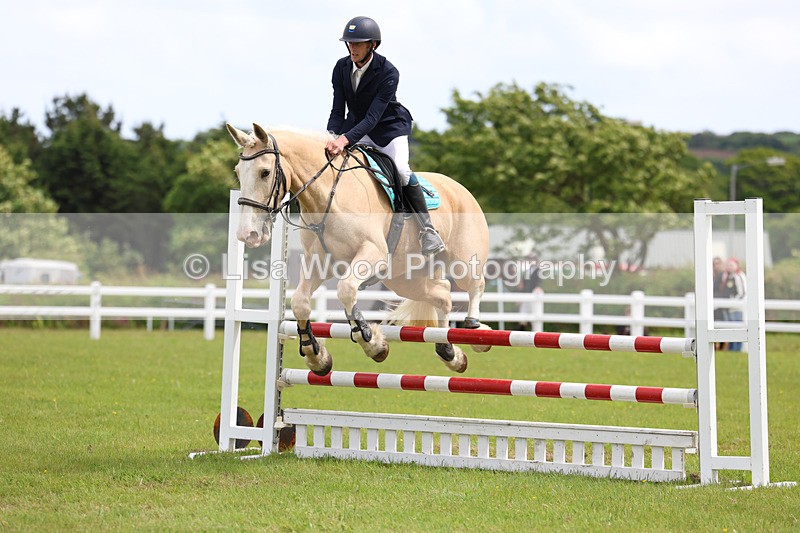 3E7A7722 - Class 13: Senior British Novice/90cm open