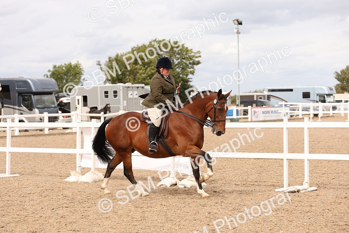 SBM_16543 - Class 212 - Ridden Hunter - Small