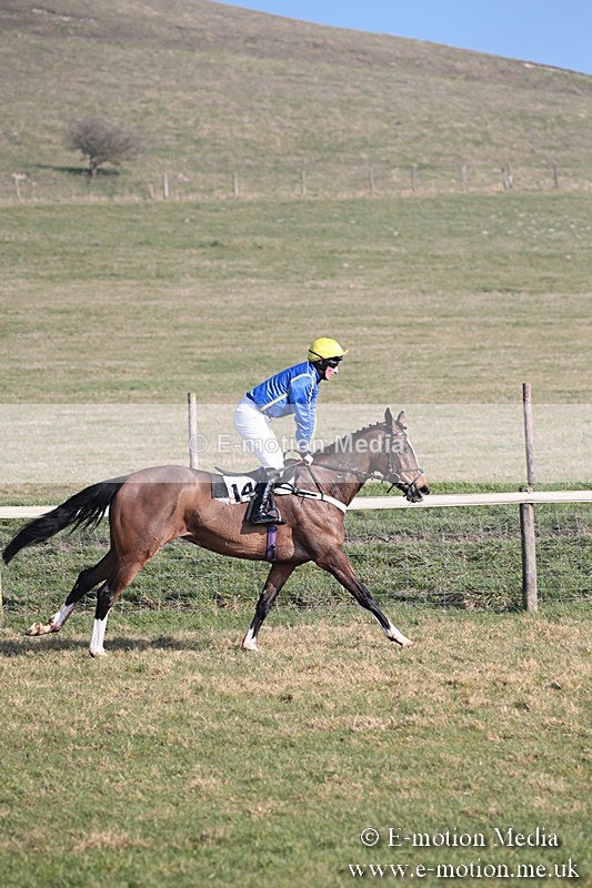 PtP 230219 270 - Vine & Craven Point-To-Point - Barbury 23/02/19