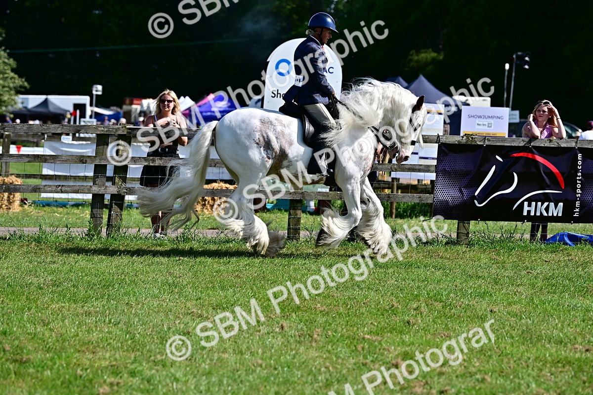 SBM_09307