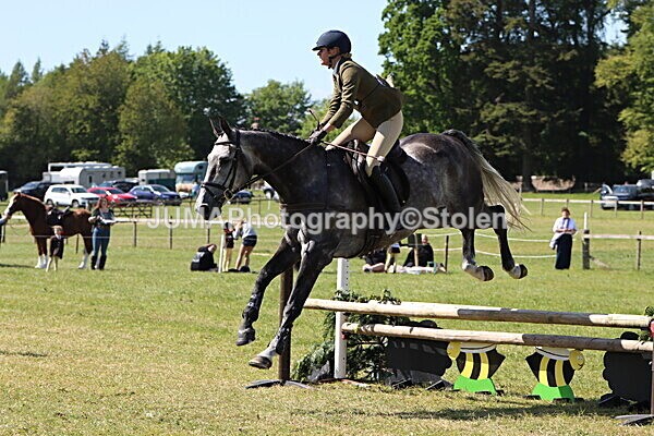 IMG_4621 - Working Hunter