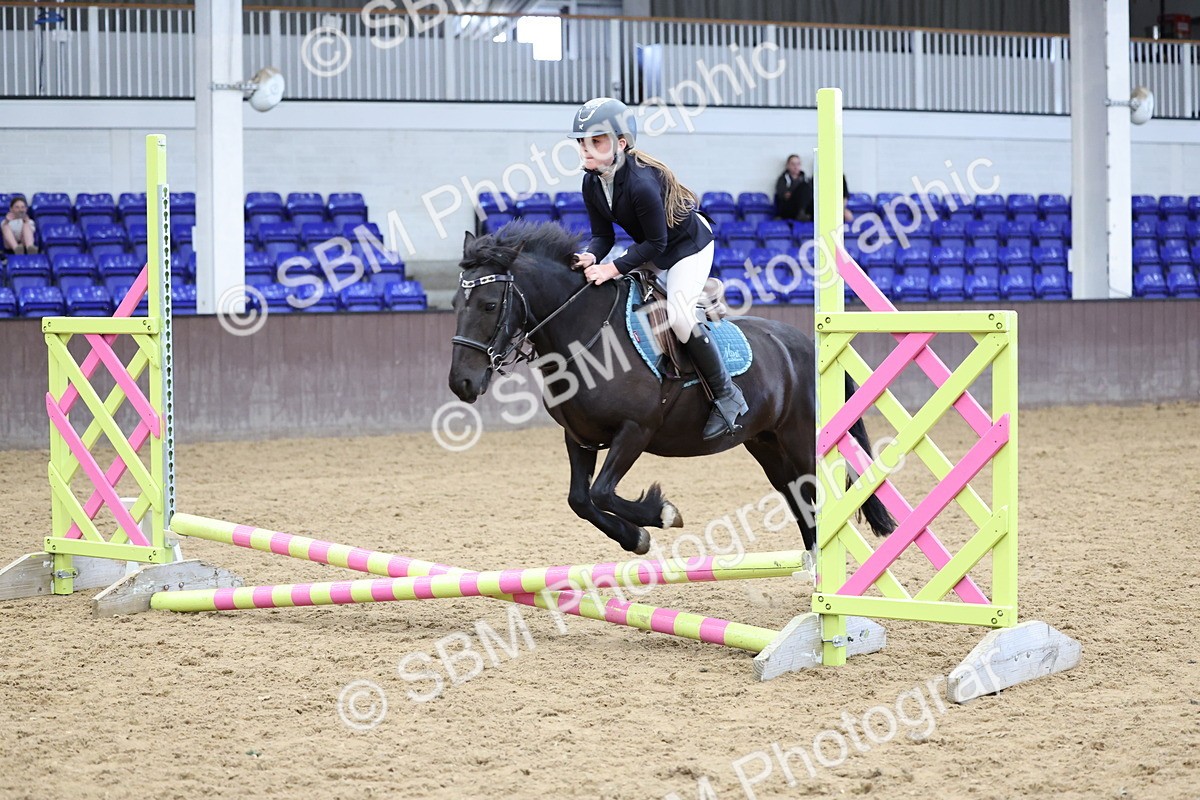SBM_006943 - Class 1 - 40cm showjumping