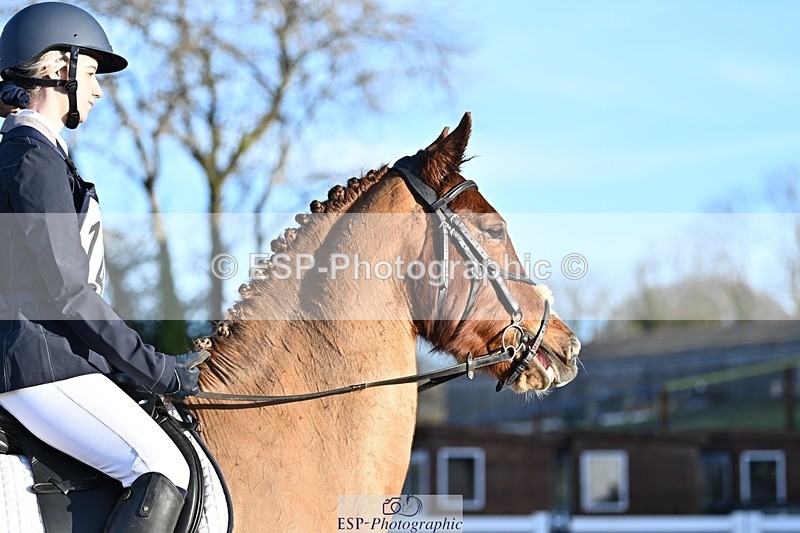 250125-092821-00050 - Dressage - CT Class 1 & 2 Intro 1