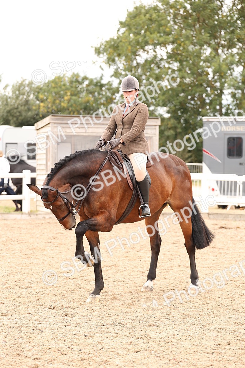 SBM_17255 - Class 213 - Ridden Hunter - Large