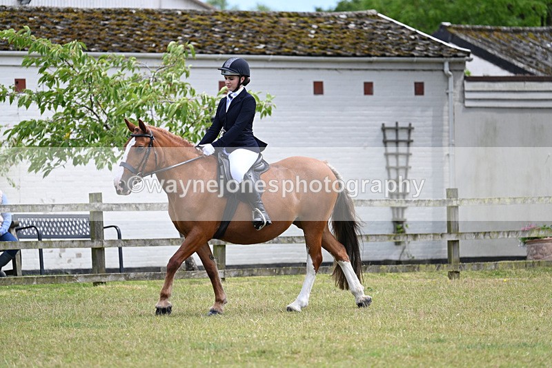 WJ7_9460 - Class 8 Ridden Veterans