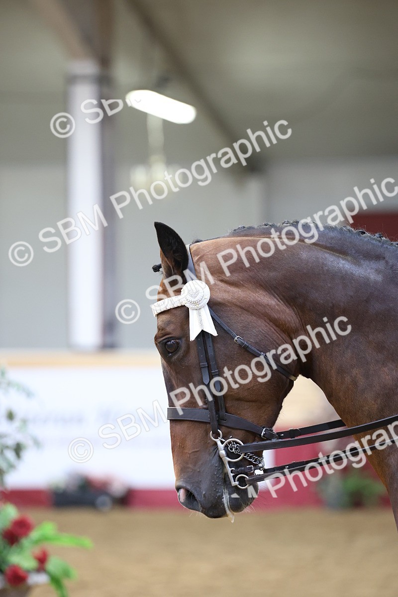 SBM_23637 - class 906 - Supreme Final - Ridden Pre Vet