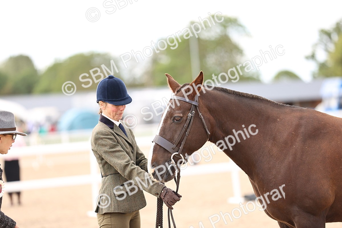 SBM_10385 - Class 405 - IH Show Cob