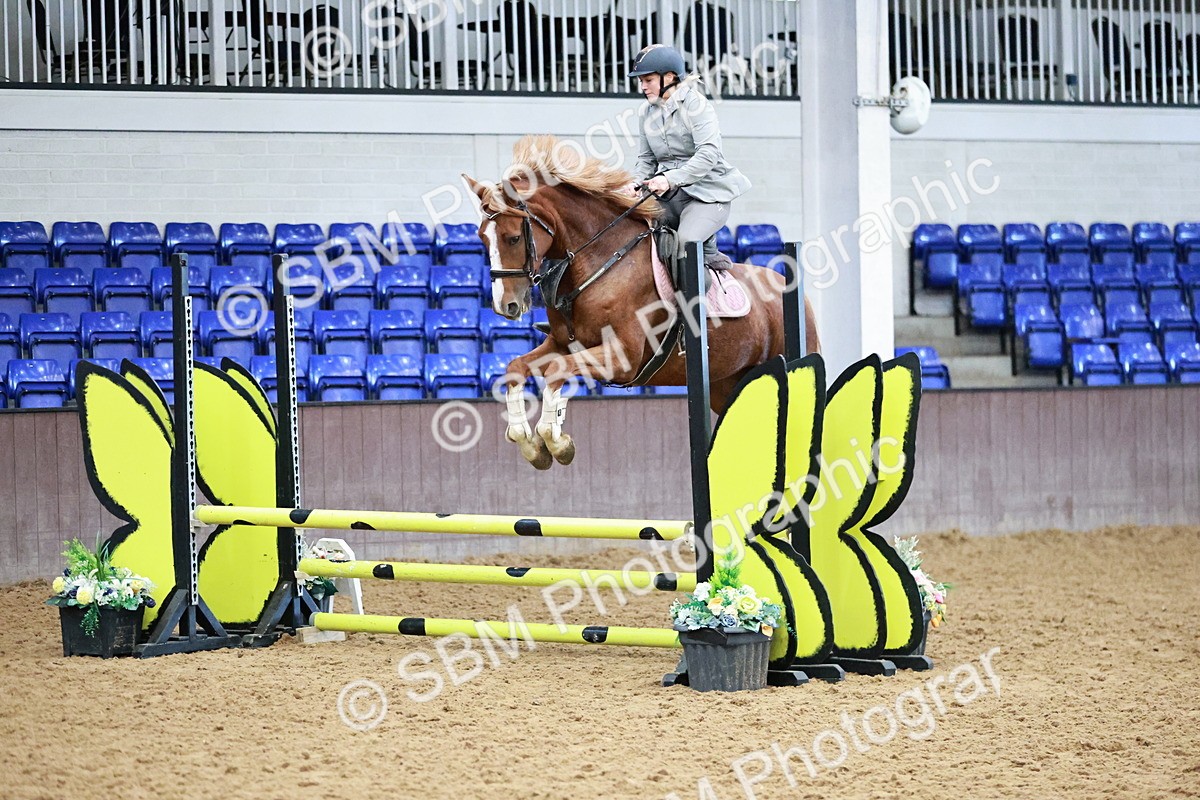 SBM_000092 - Class 1 - Clear Round Show Jumping 80cm