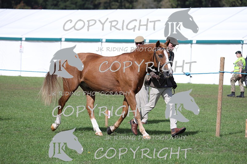 APP_2783 - Class 10a/b M&M in hand