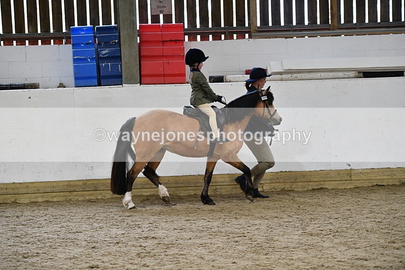 WJ5_6559 - Class 10 Childs Pony