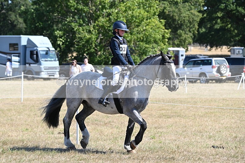 WJ6_8291 - Class 37a Best Loan Pony Ridden
