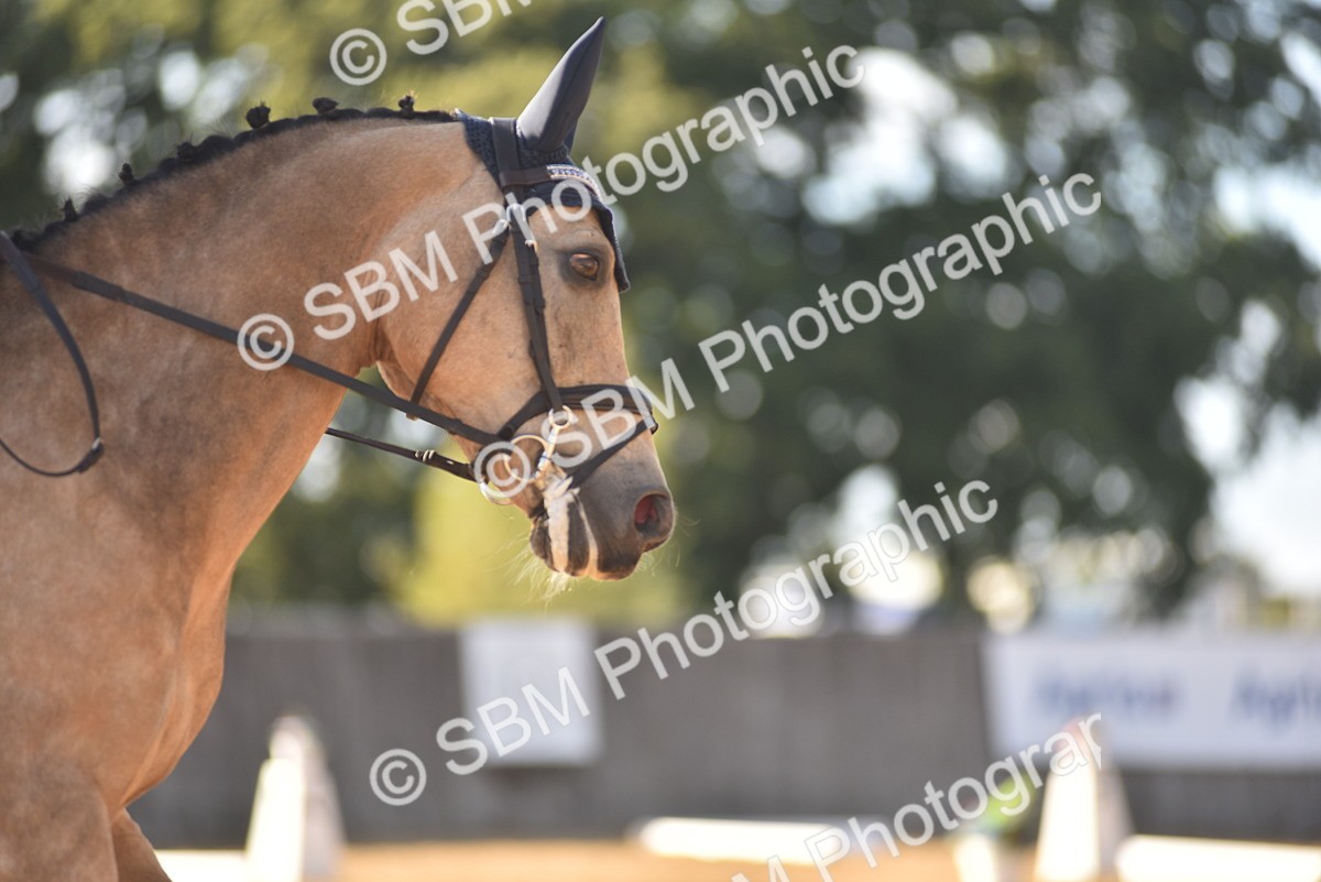 SBM_53323 - D24 - Junior Championship Prelim 3