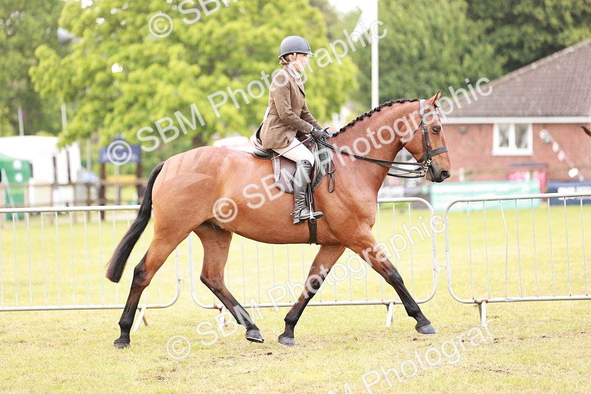 SBM_10759 - Class 81-84 - RIHS Ridden hunters Inc Ladies Hunter