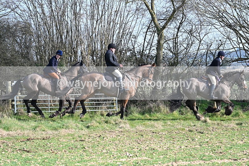 WJ7_5916 - Camera A