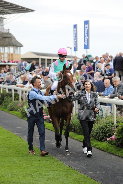 yr18082022r4-21 - Race 4 3.35pm Darley Yorkshire Oaks (British Champions Series Race)